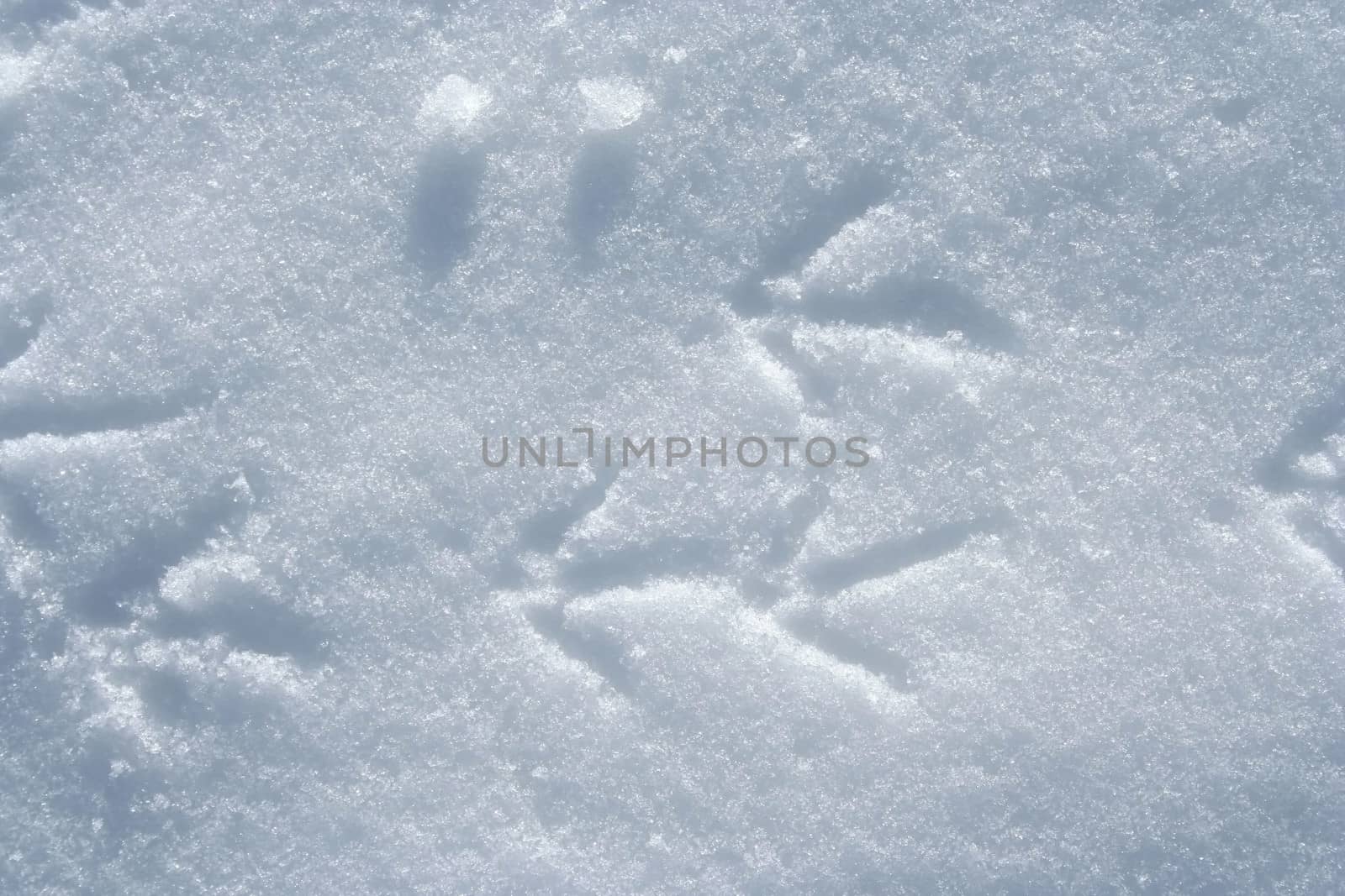 crystal icy snow background