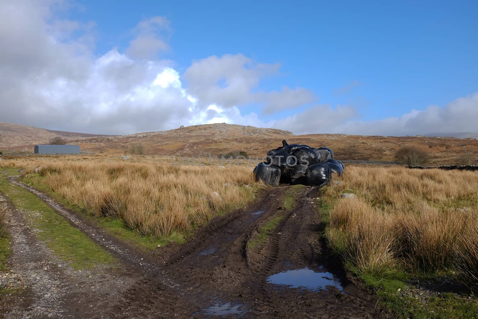 Tyre tracks lead to black plastic silage bags stacked in an area of marshland with a hill, blue sky and cloud in the distance.