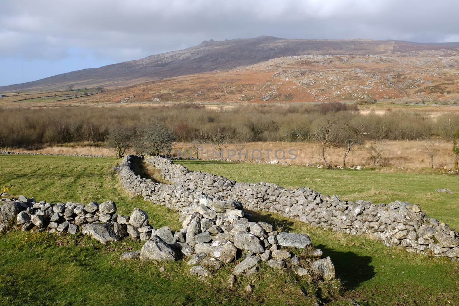 A stone walled bridleway leads through a green field towards marshland with trees, a mountain and cloudy sky in the distance.