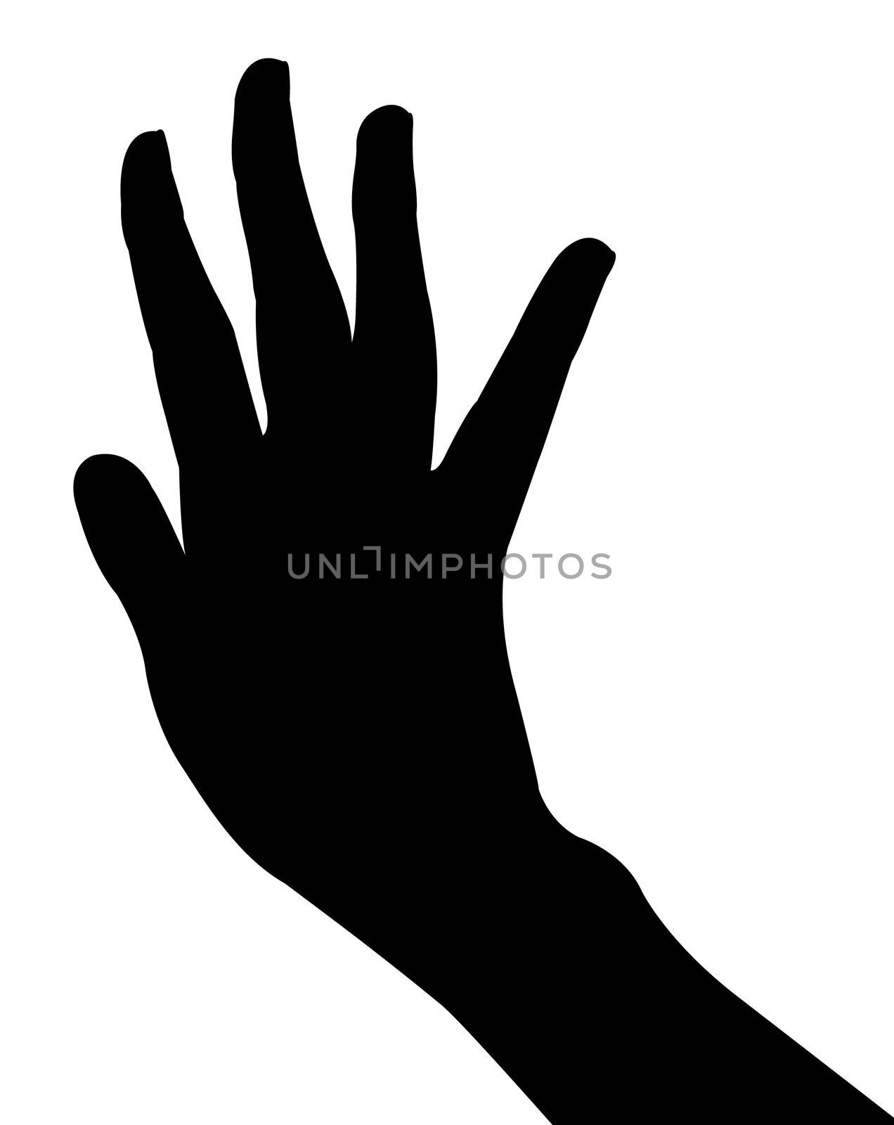 lady hand silhouette vector