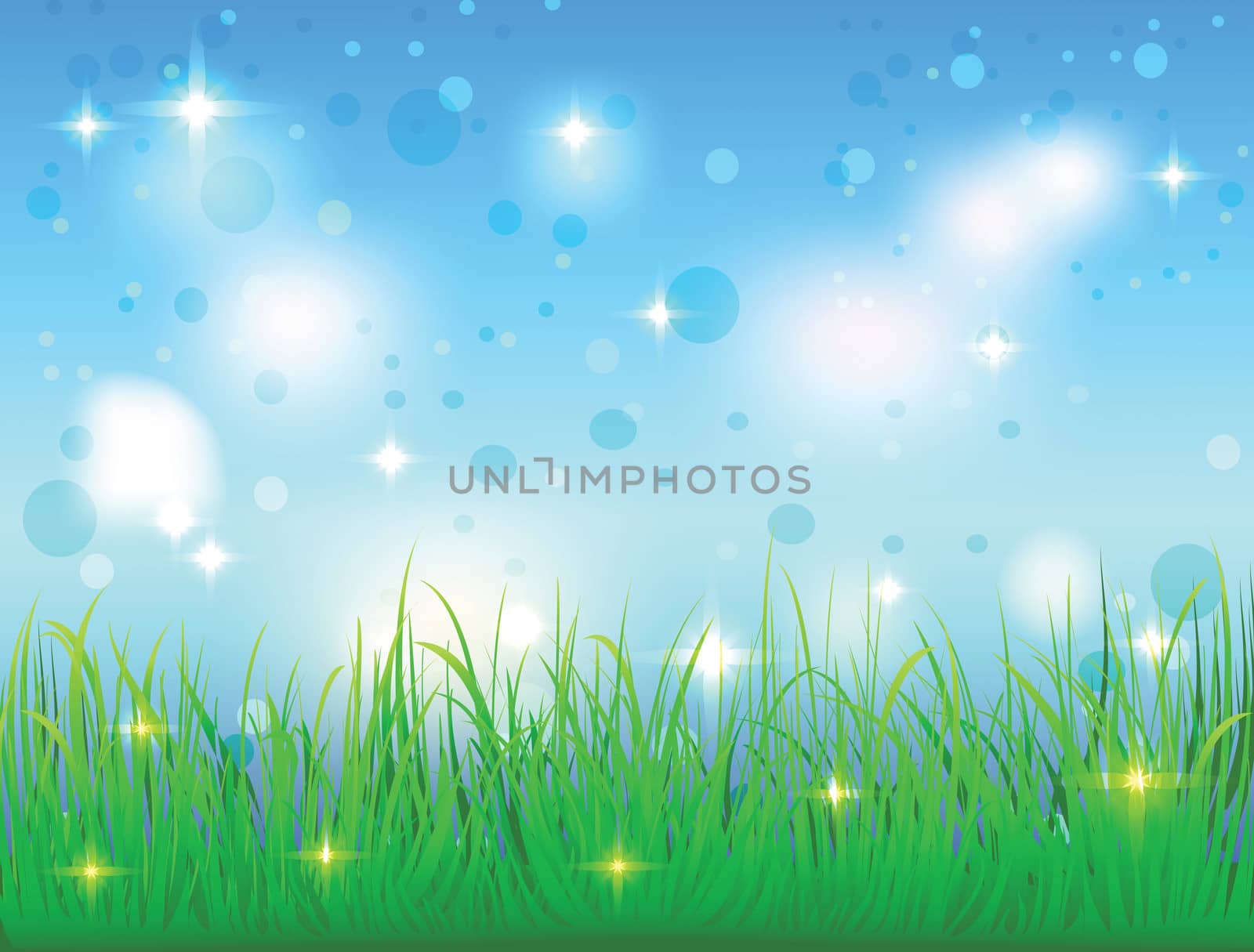 beautiful bright abstract background of summer sky with green grass