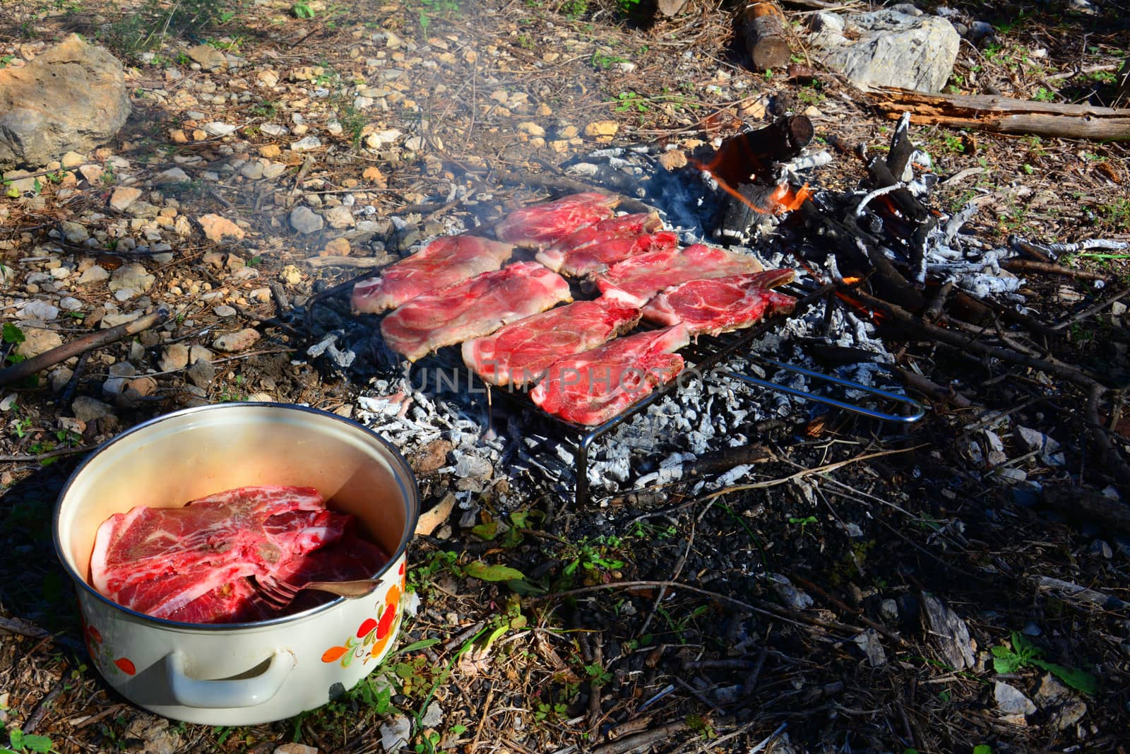 BBQ in wilderness by Leont