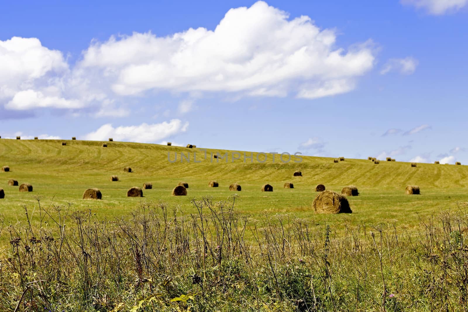 Straw roll bale on the field of farmland