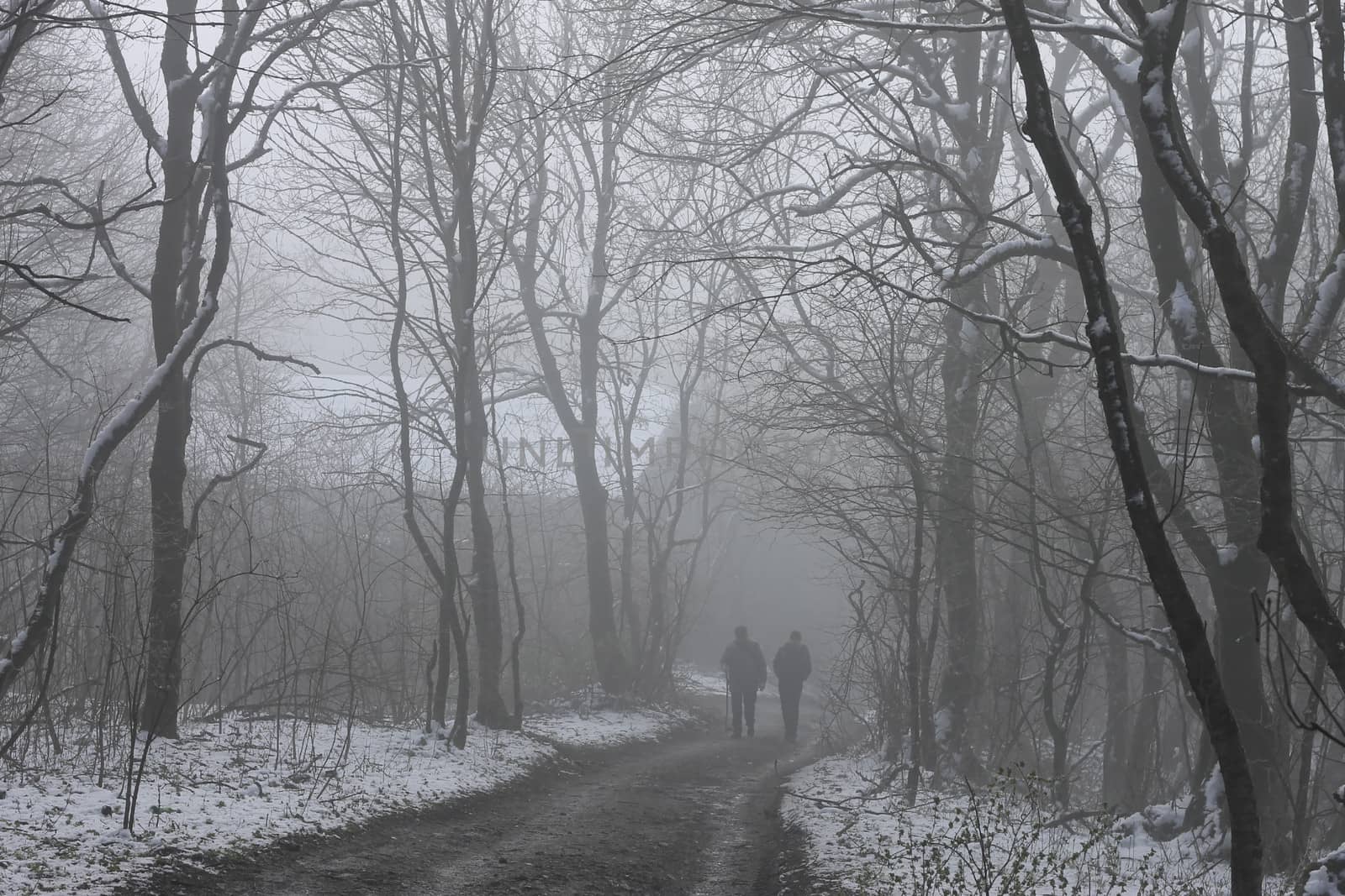 People walking by misty road in the park