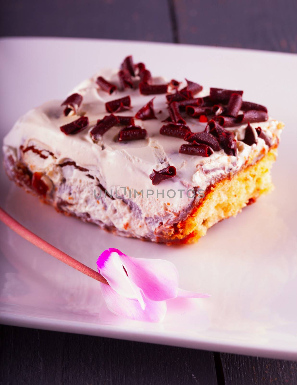 Cake slice with cyclamen over white plate