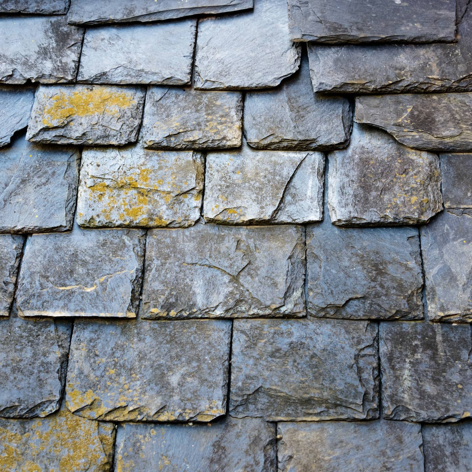 Slate roof detail, some of the slates covered by lichen