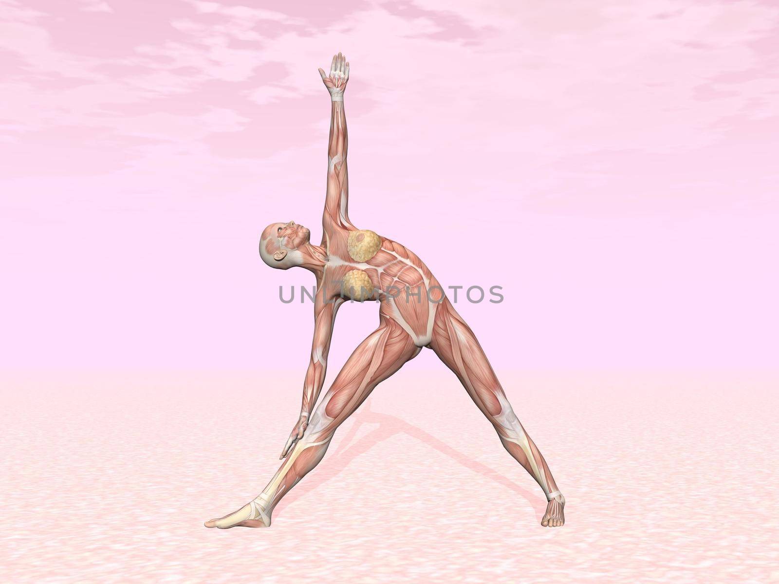 Triangle yoga pose for woman with muscle visible in pink background