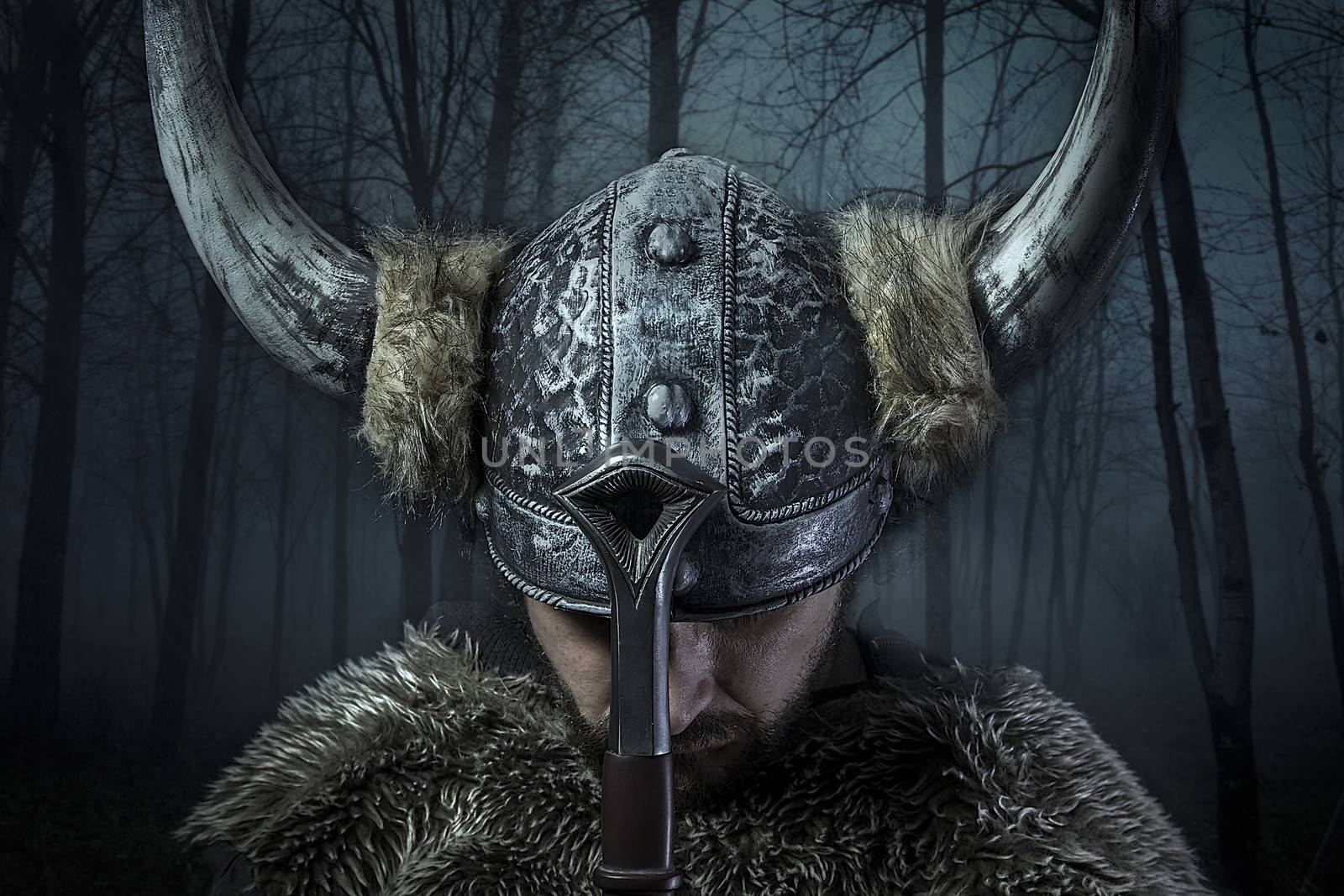 Peace, Viking warrior, male dressed in Barbarian style with sword, bearded