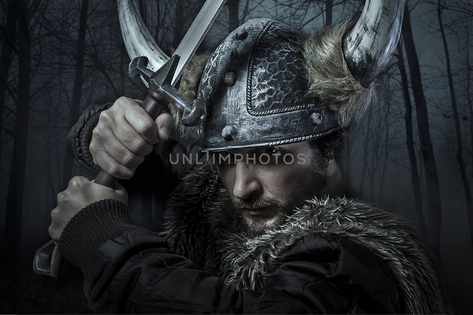 Viking warrior, male dressed in Barbarian style with sword, bear by FernandoCortes