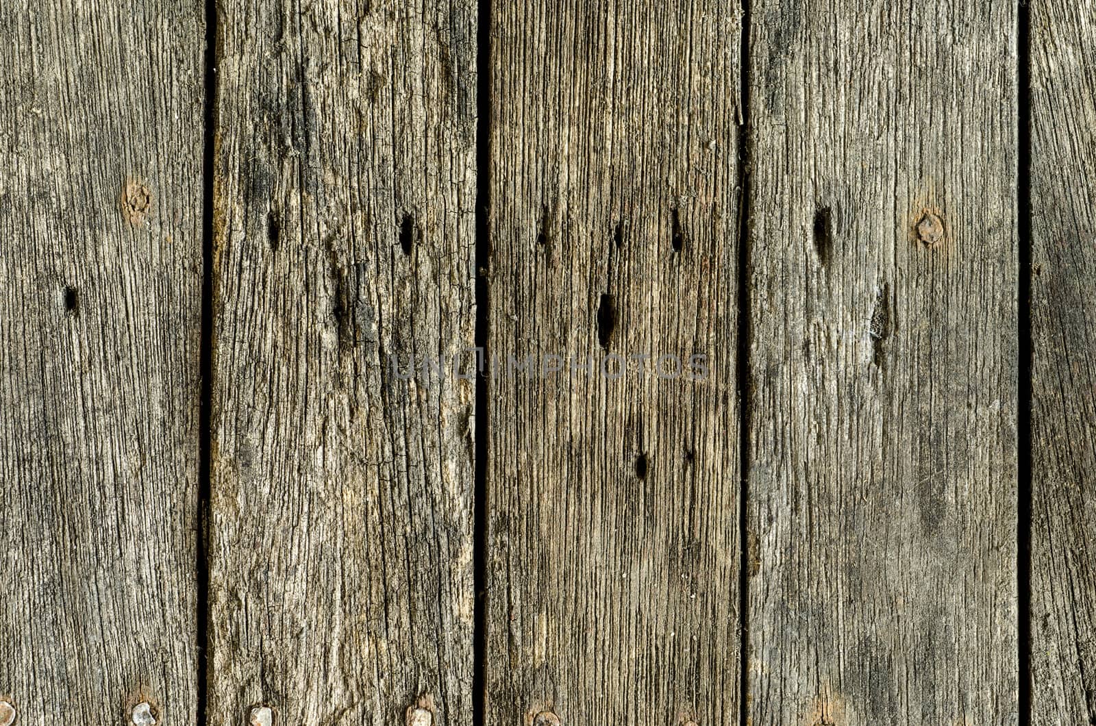 background detail of distressed and weathered barn wood.Macro shot 