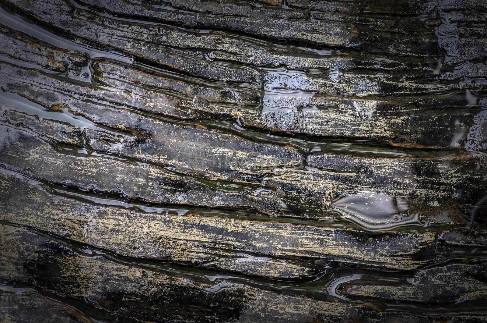 Background texture, wet Blank Slate by 9george