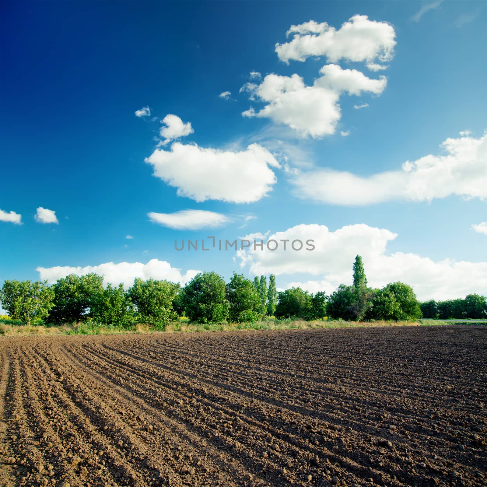 black agriculture field and blue sky with clouds