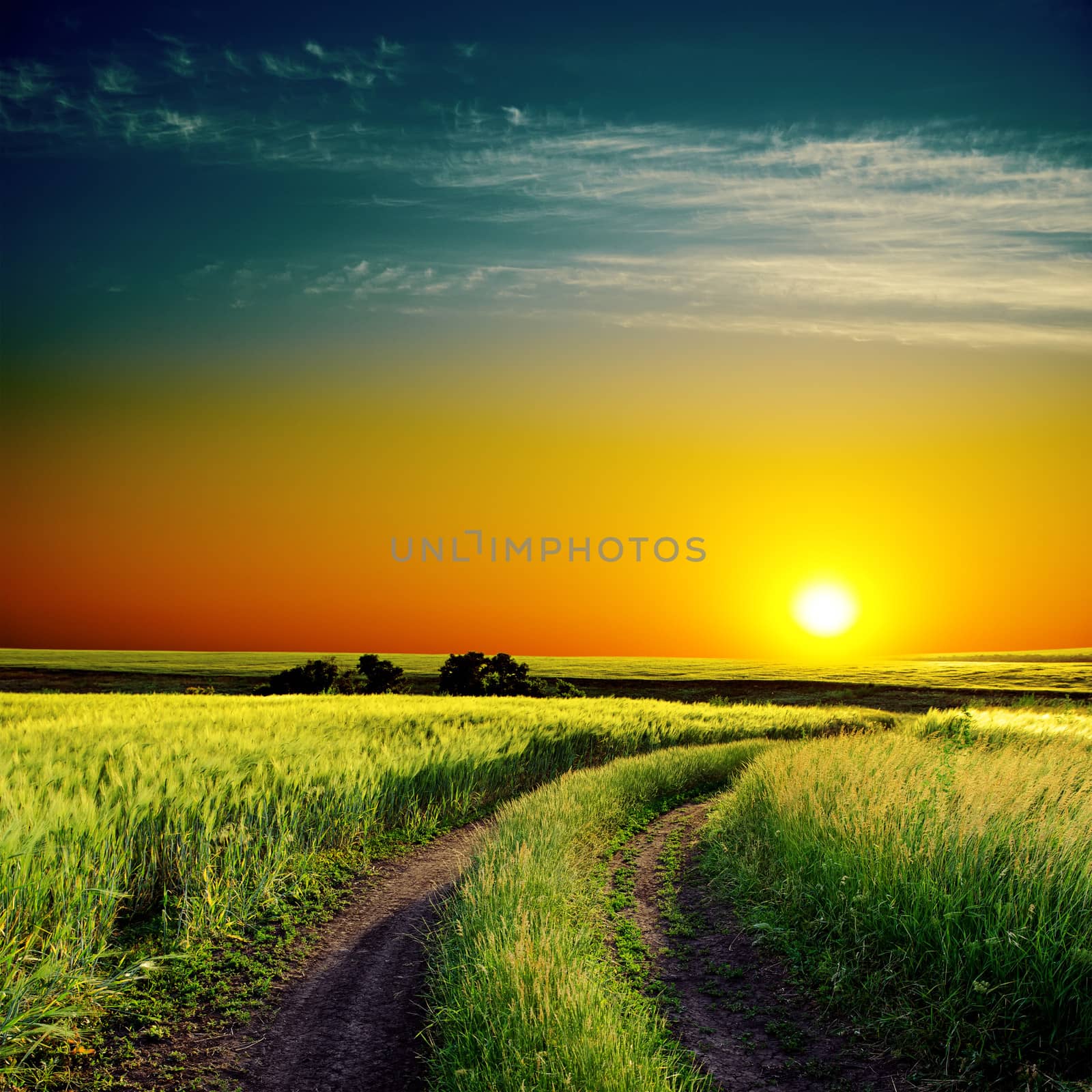 good sunset and road to horizon in green field