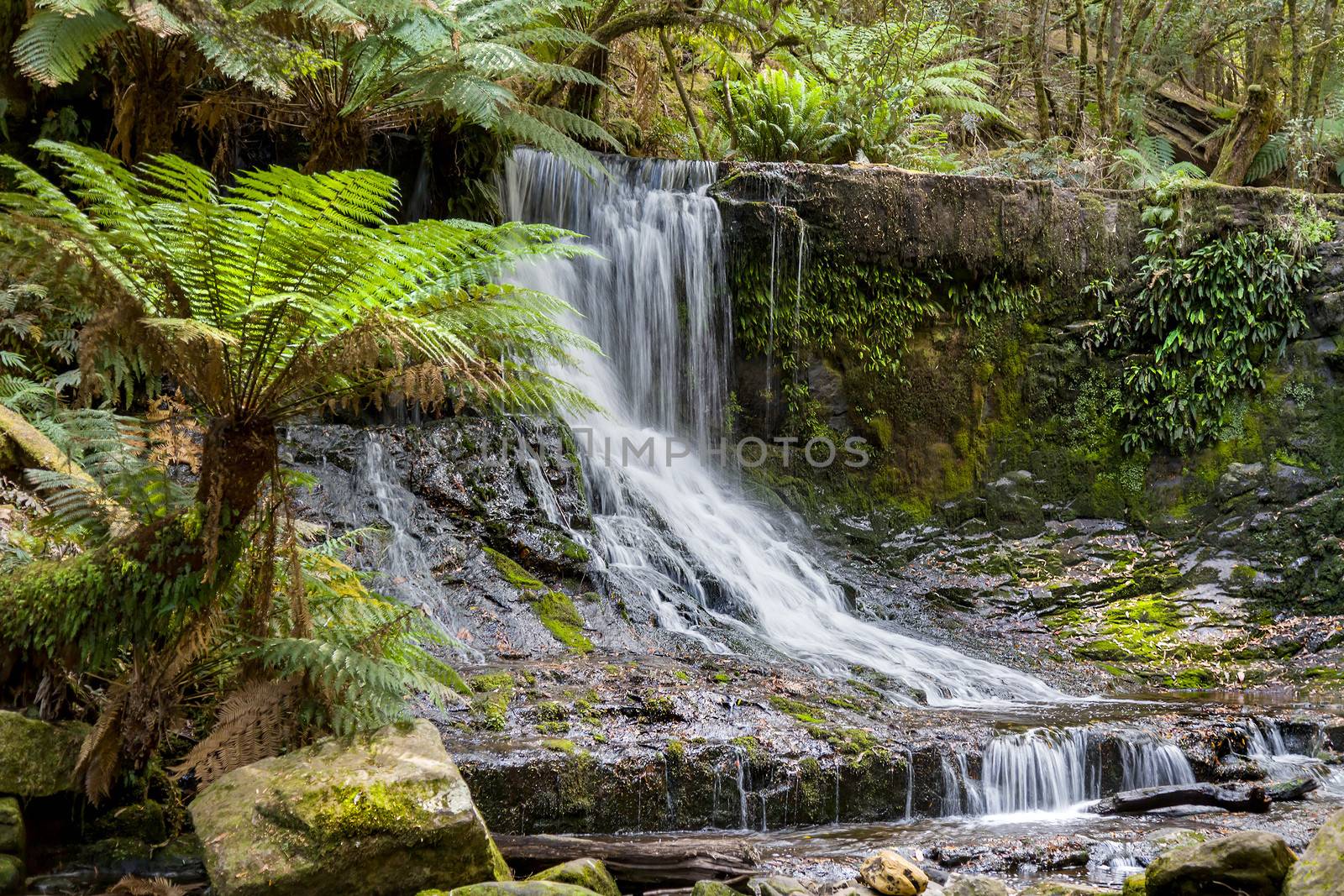 waterfall Tasmania by magann