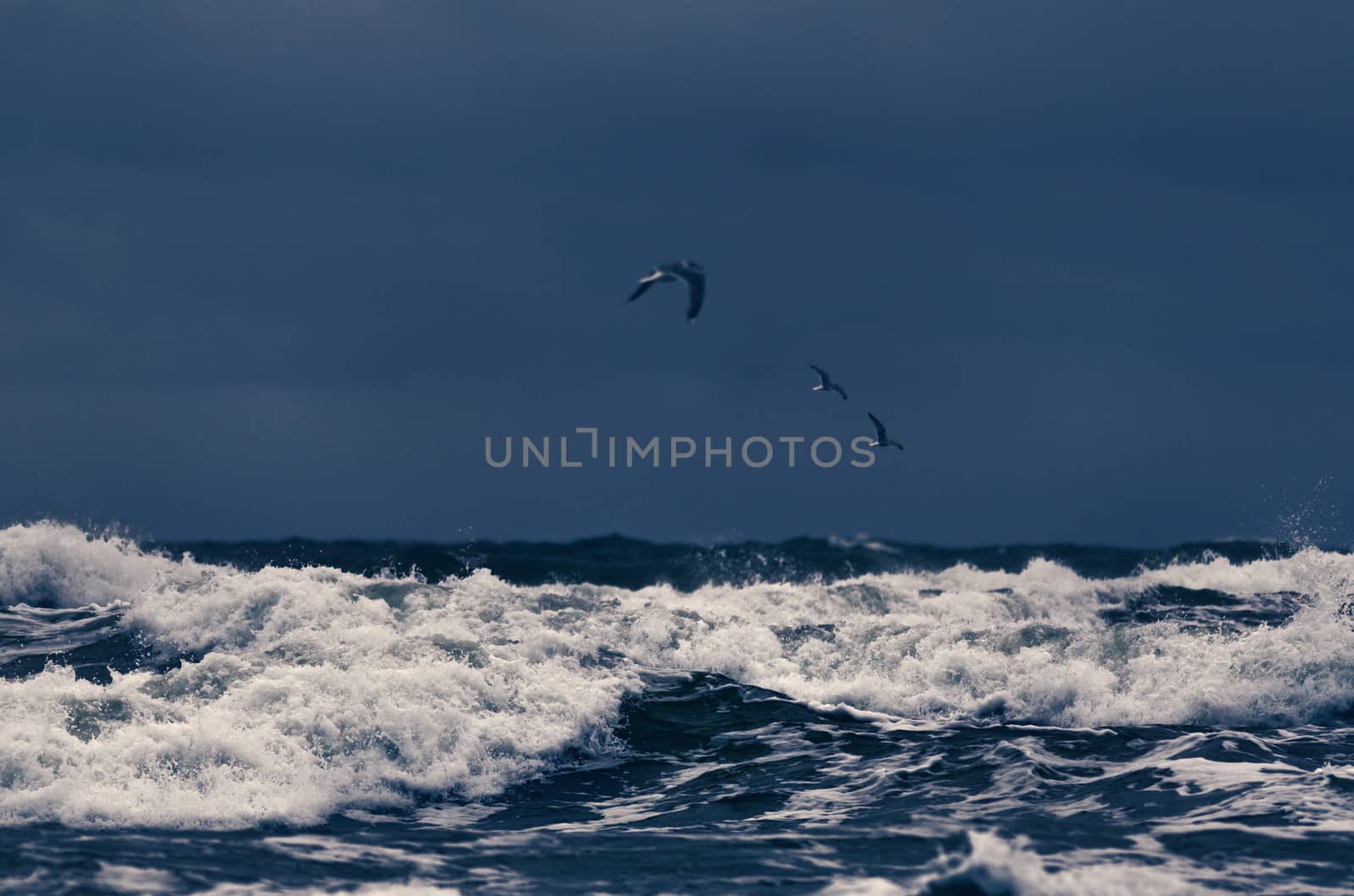 Stormy waves on the surface of the ocean