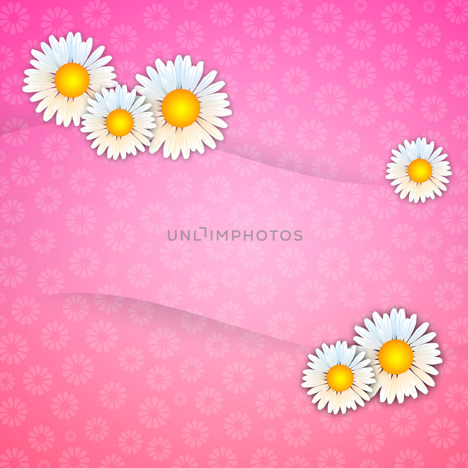 pink background with daisies by sognolucido