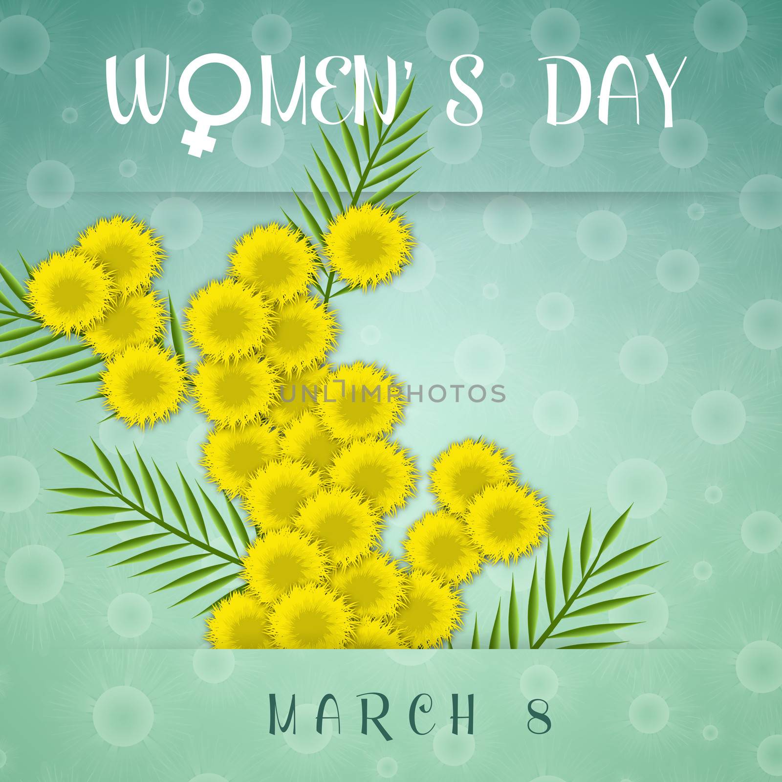 illustration of mimosa for Women's Day