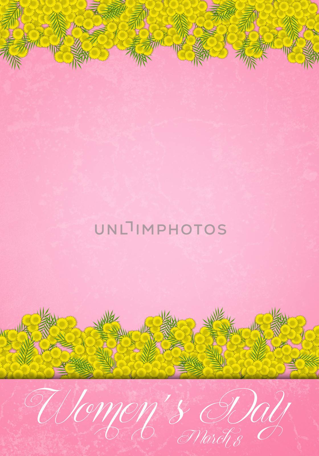 illustration of mimosa flower for Women's Day