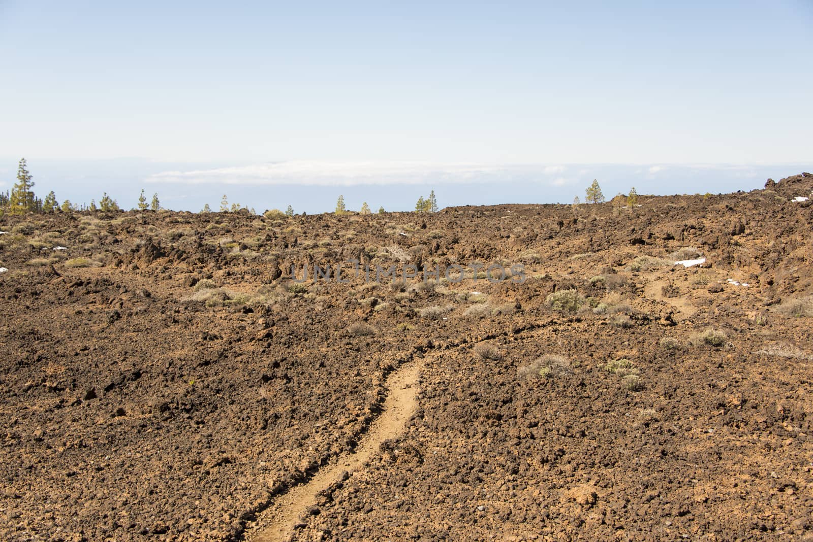 A winding path trough lava rocks surrounding the volcano Teide in Tenerife, Canary Islands
