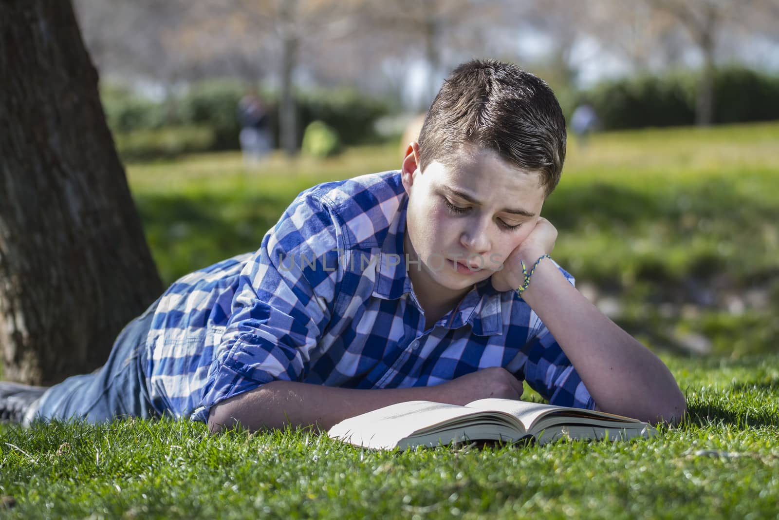 Young boy reading a book in the woods with shallow depth of field and copy space