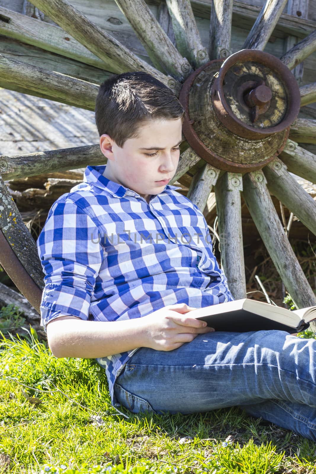 Young boy reading a book in the woods with shallow depth of field and copy space