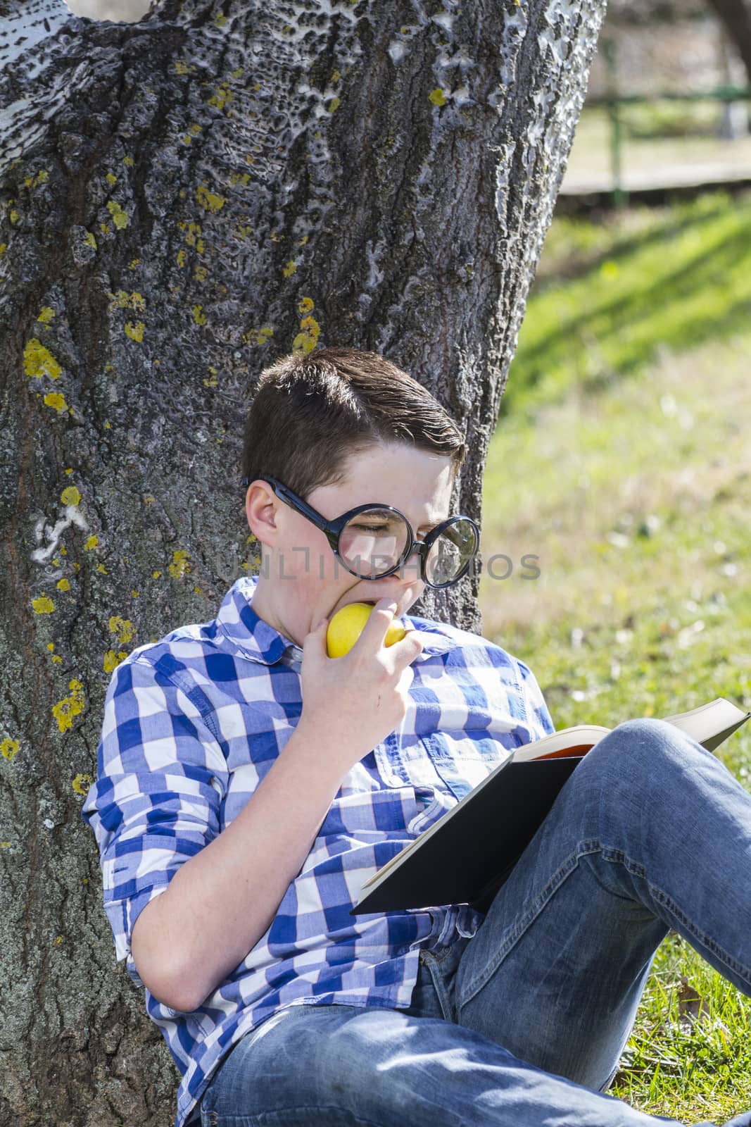 Young boy reading a book in the woods with shallow depth of fiel by FernandoCortes