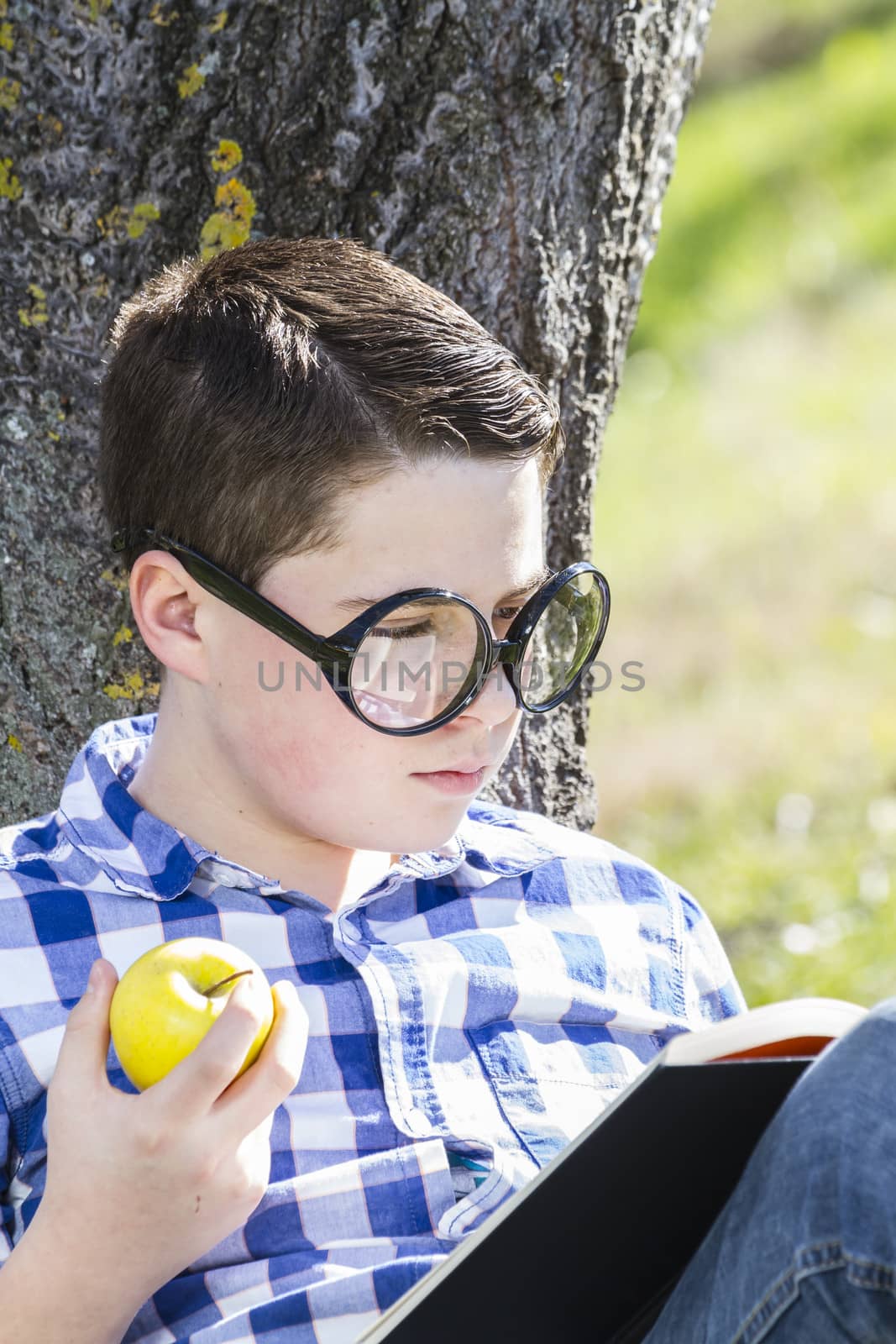 Young boy reading a book in the woods with shallow depth of field and copy space