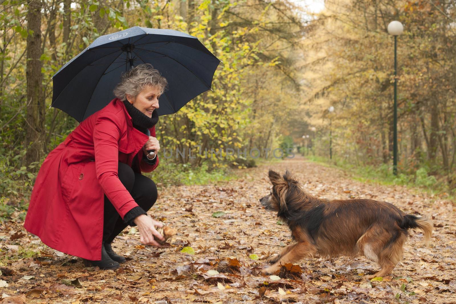 Middle aged woman in the autumn forest with her dog