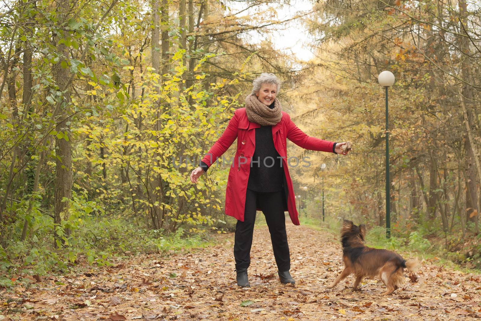 Middle aged woman in the autumn forest with her dog