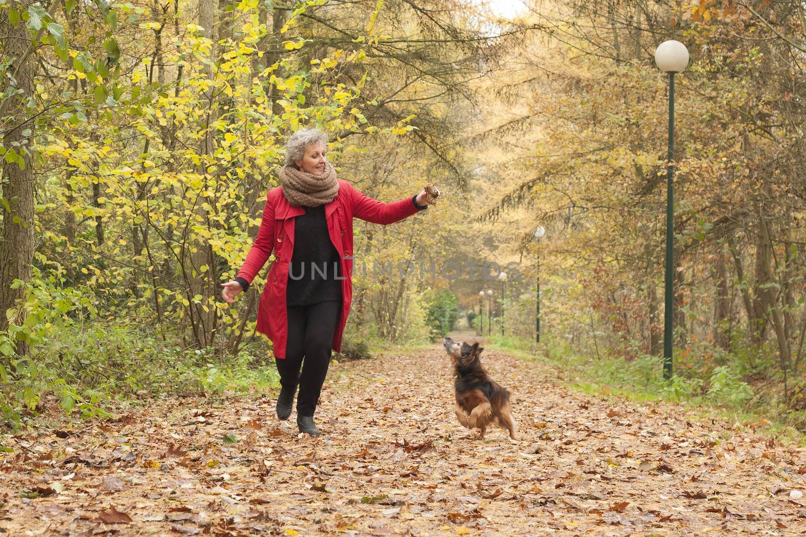 Middle aged woman in the autumn forest with her dog