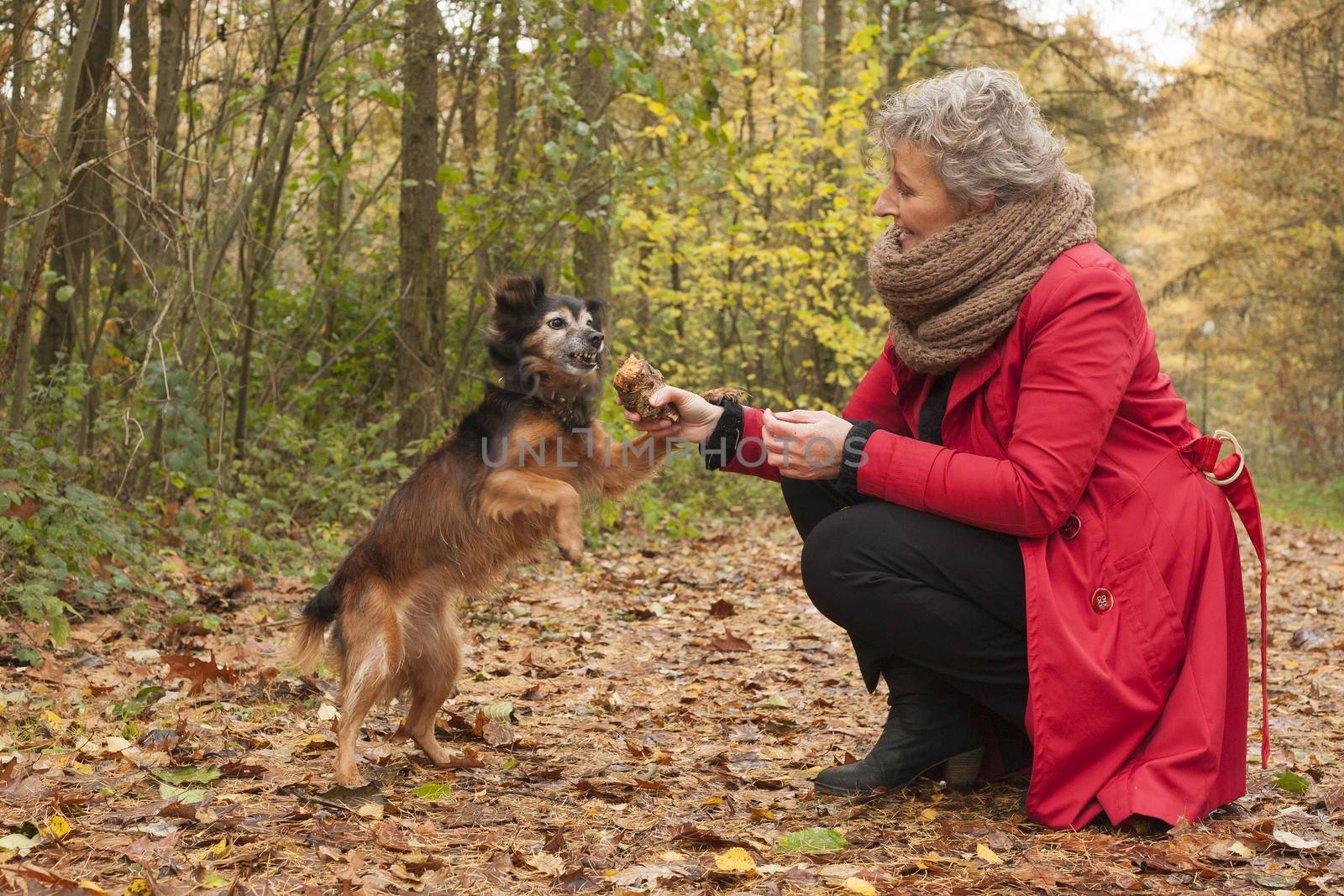 Middle aged woman in the autumn forest with her dog