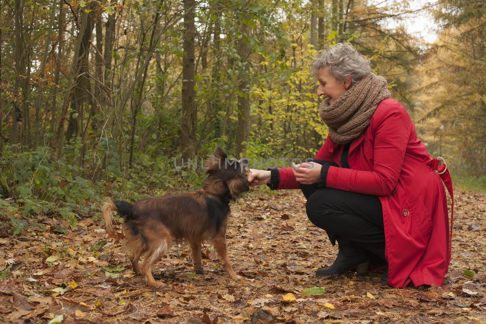 Middle aged woman in the autumn forest with her dog