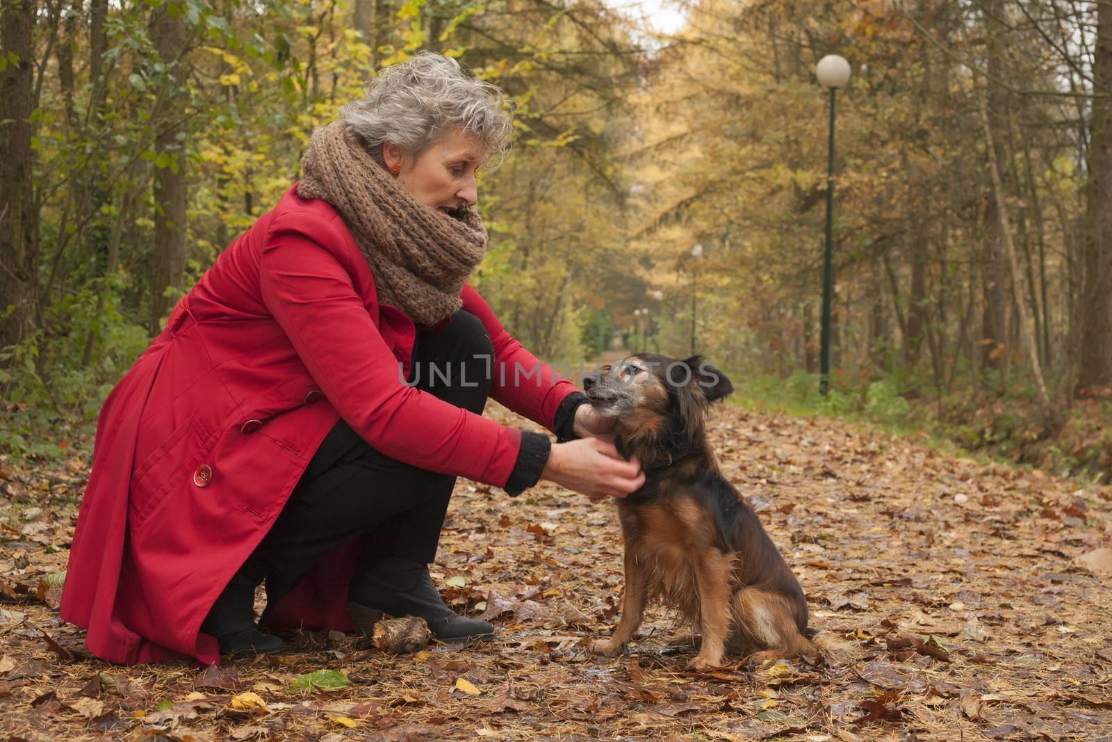 Middle aged woman in the autumn forest with her dog