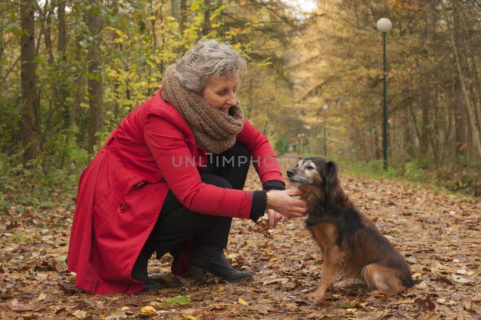 Middle aged woman in the autumn forest with her dog