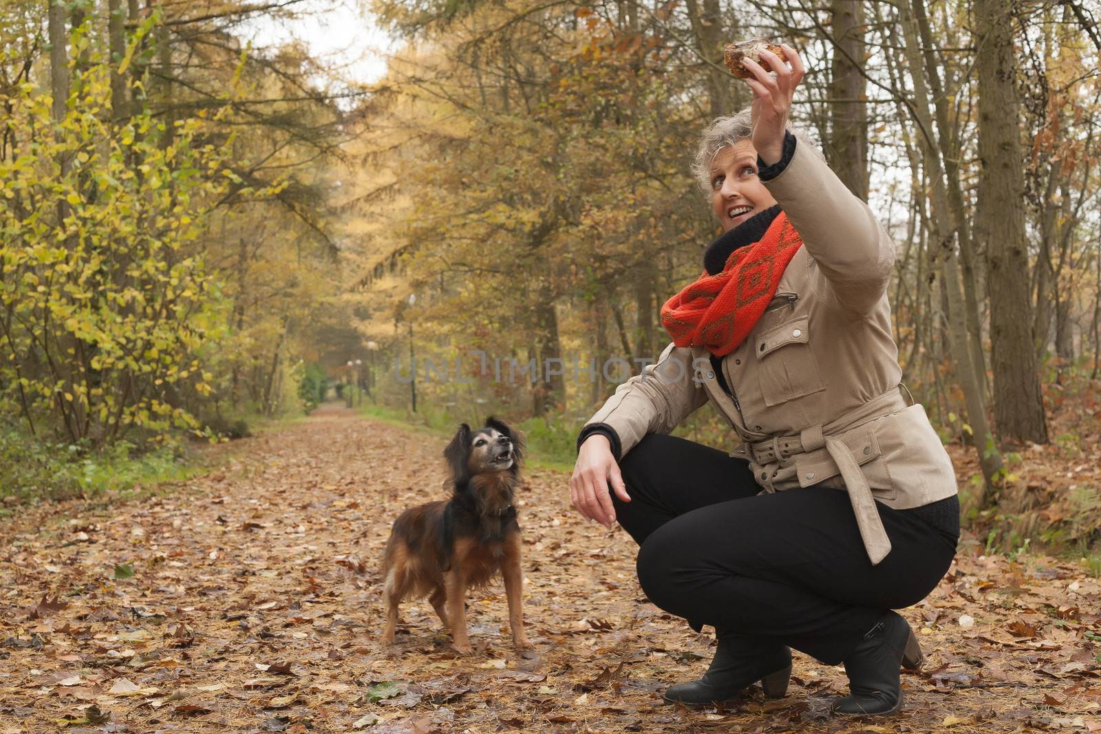 Middle aged woman in the autumn forest with her dog