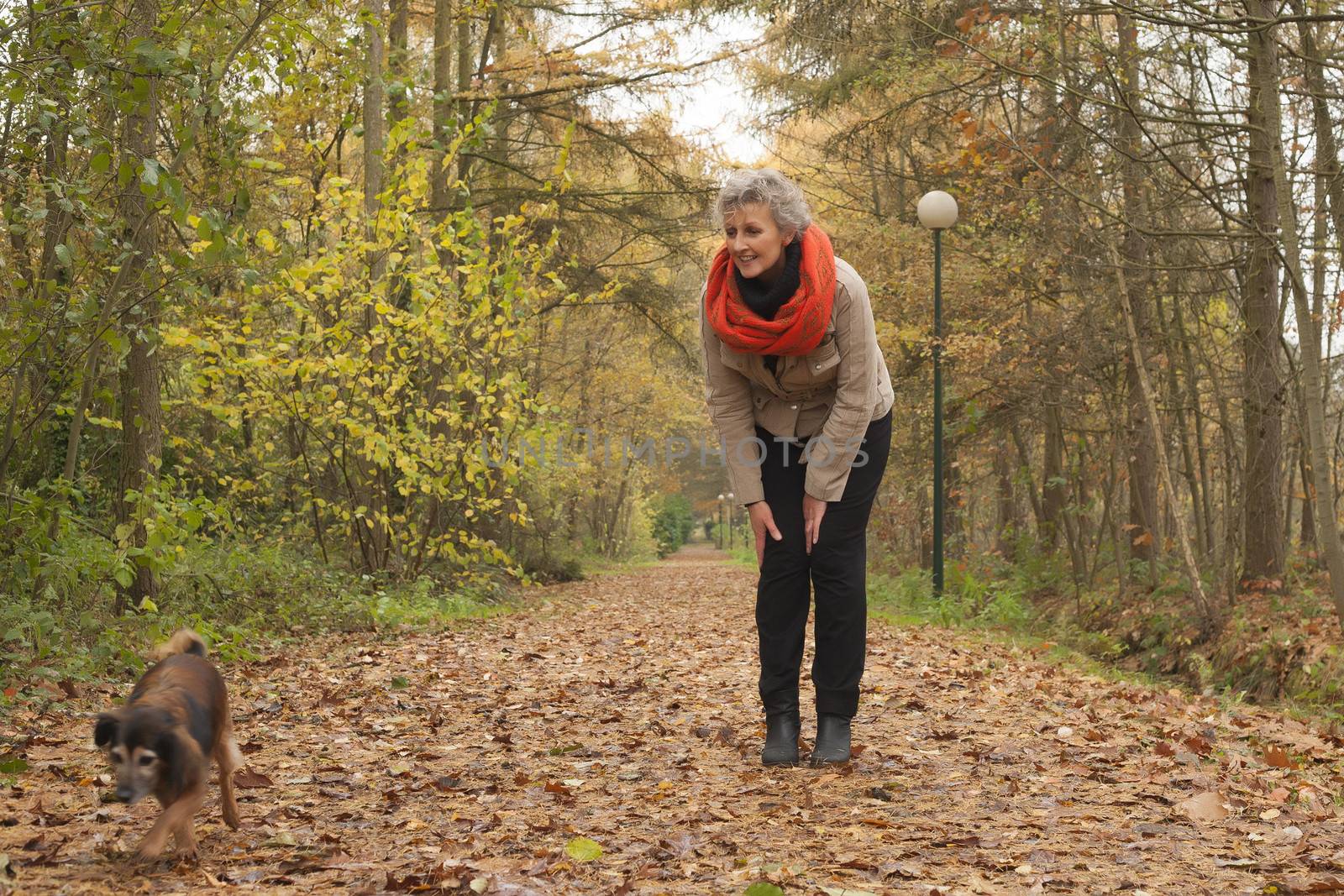 Middle aged woman in the autumn forest with her dog