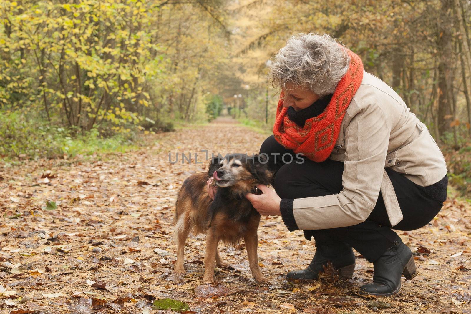 Middle aged woman in the autumn forest with her dog