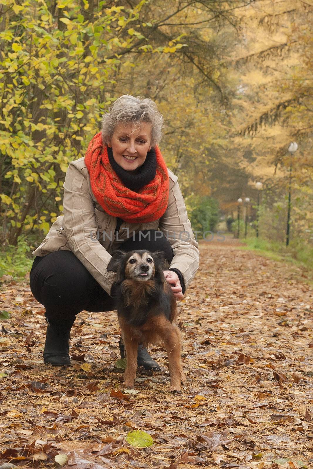 Middle aged woman in the autumn forest with her dog