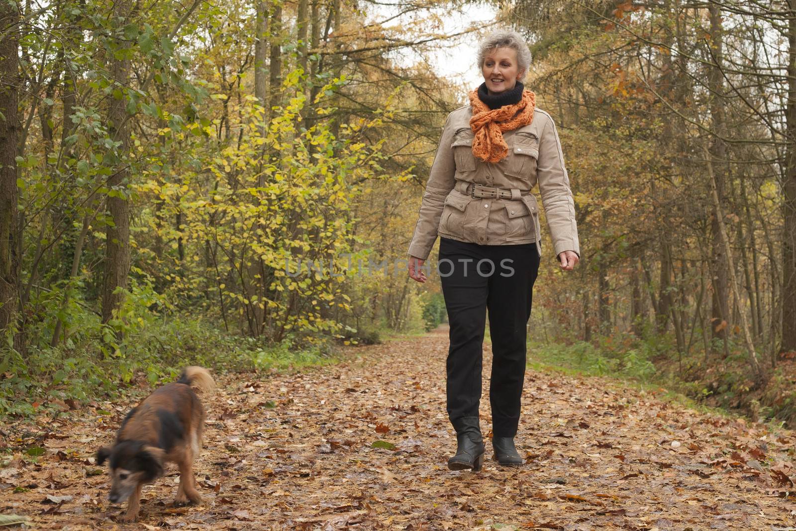 Middle aged woman in the autumn forest with her dog