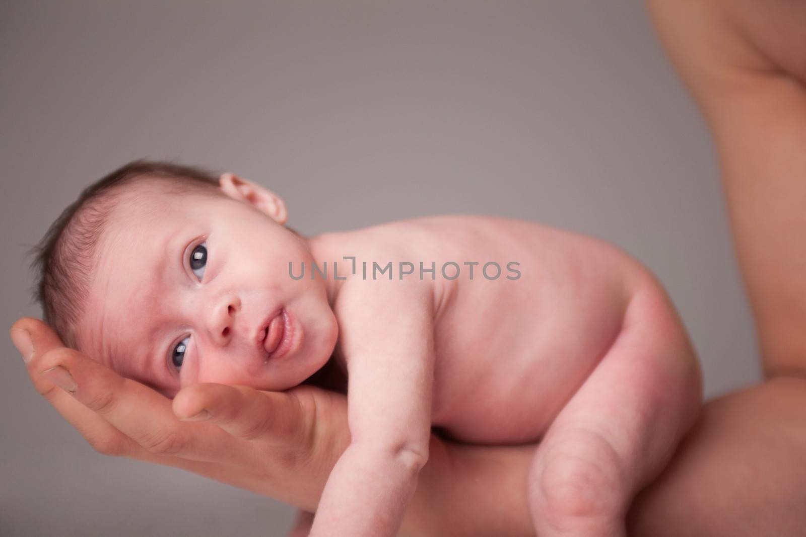 Newborn girl on daddy's arm by DNFStyle