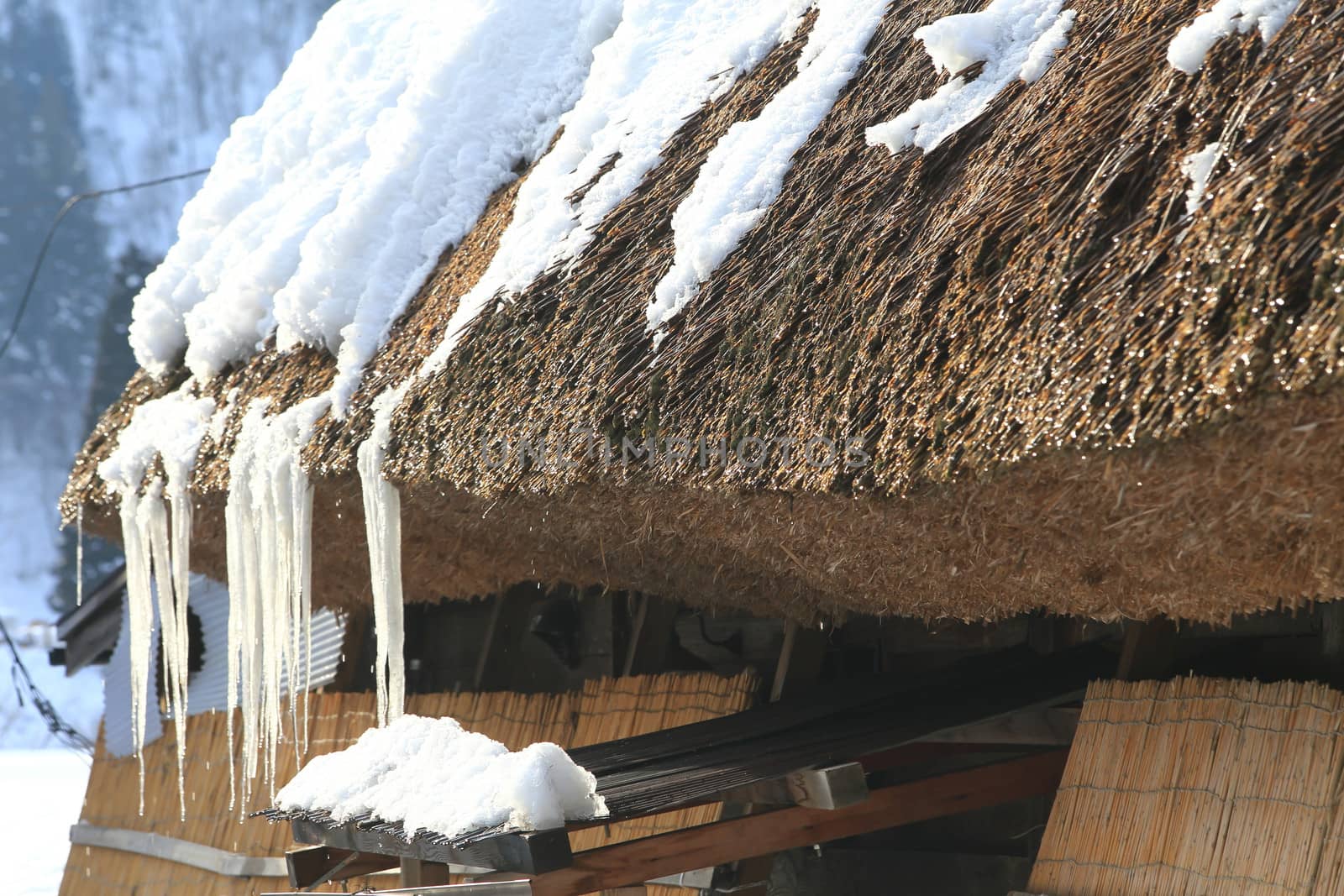 Cottage at Gassho-zukuri Village/Shirakawago:japan