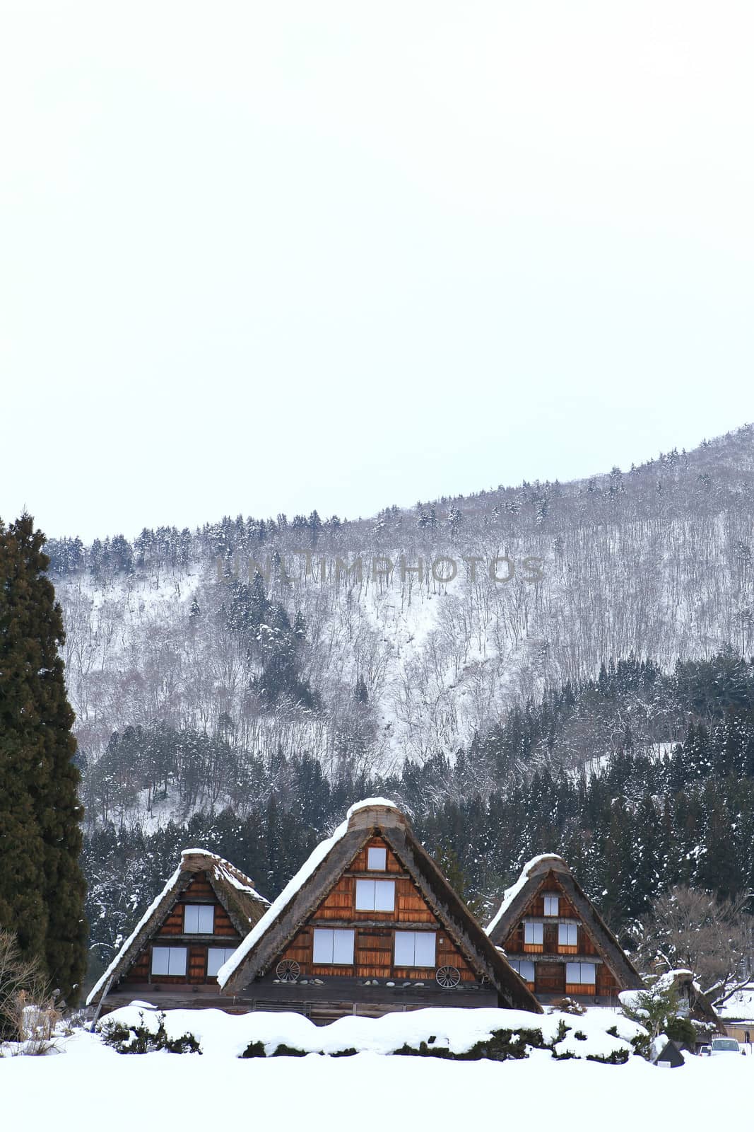Cottage at Gassho-zukuri Village/Shirakawago