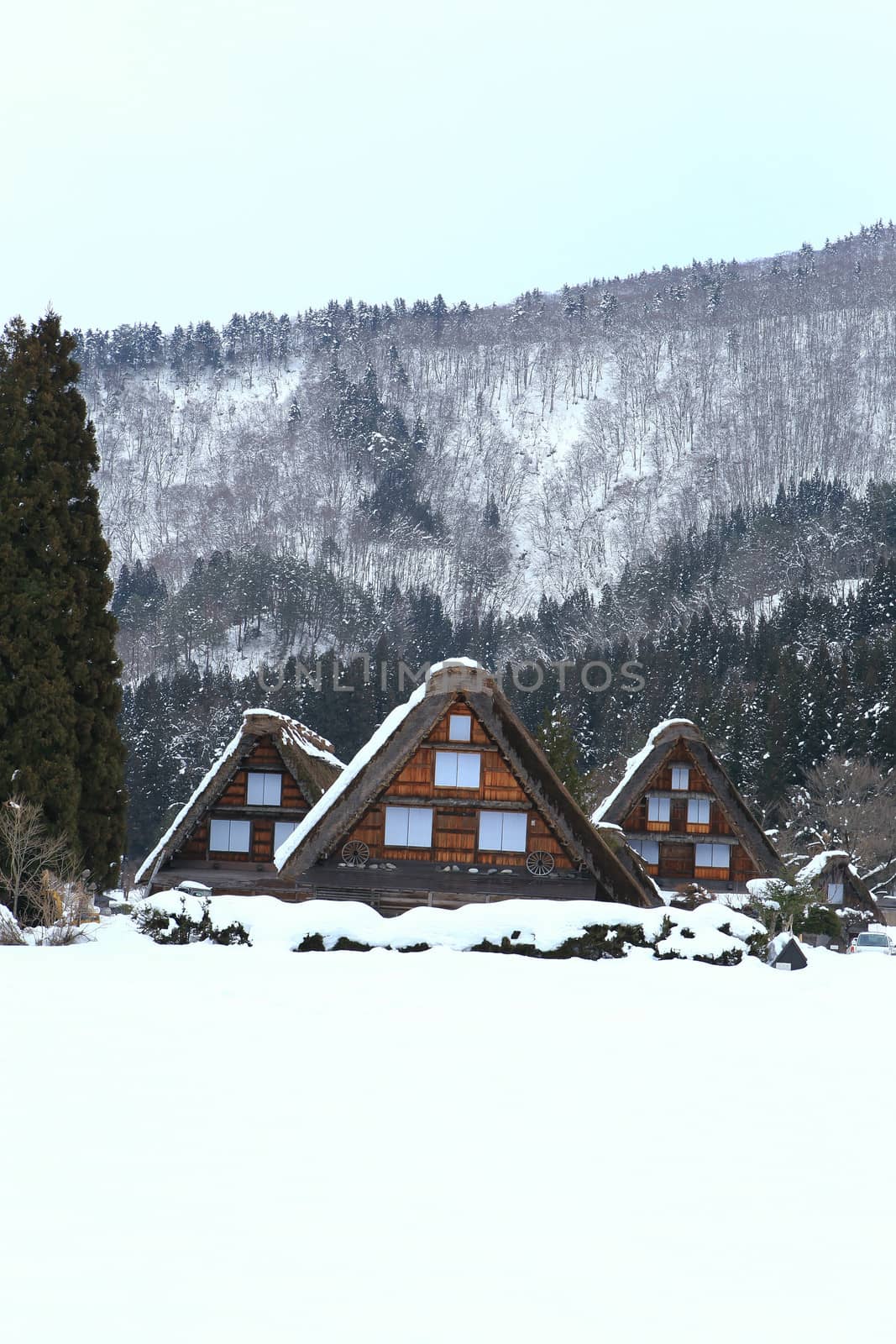 Shirakawa go village hut by rufous