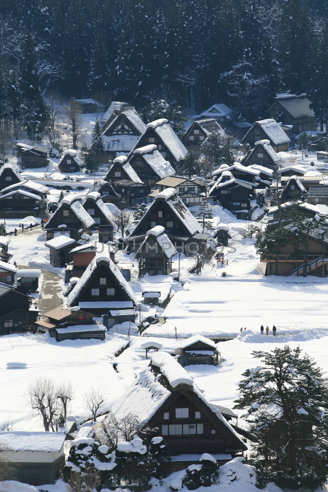 View from the Shiroyama Viewpoint at Gassho-zukuri Village, Shirakawago, Japan