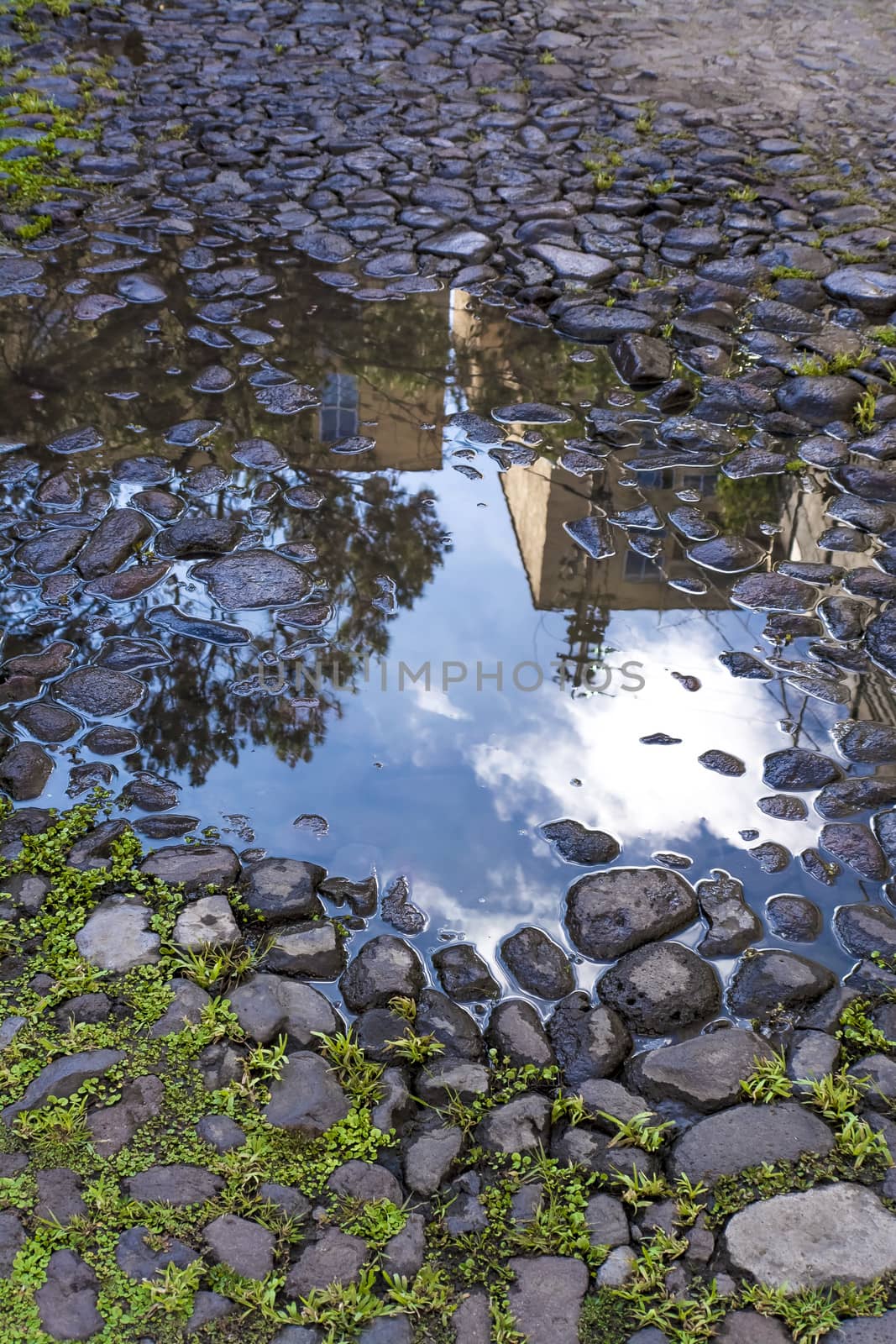 Reflections of buildings and blue sky over puddle after rain