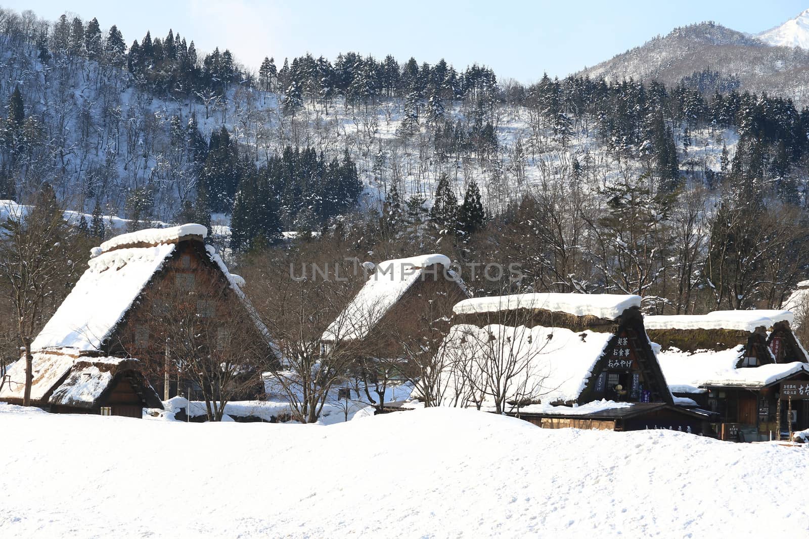 Cottage at Gassho-zukuri Village/Shirakawago