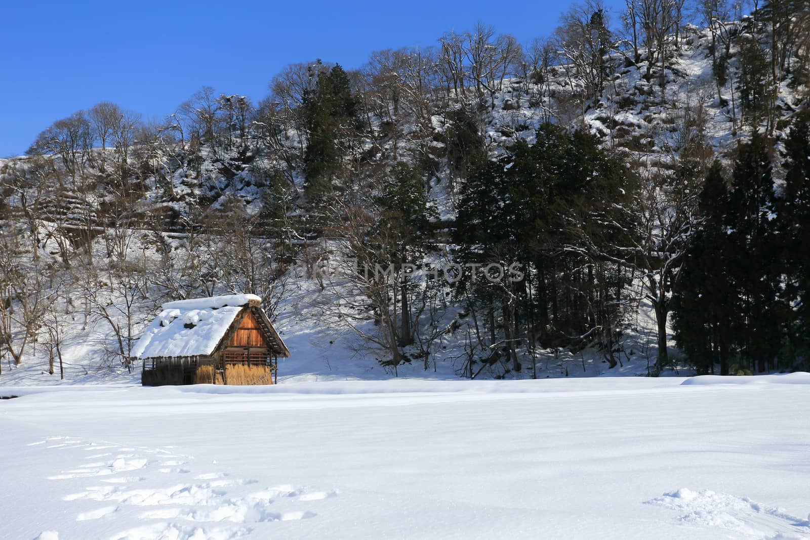 Cottage at Gassho-zukuri Village/Shirakawago