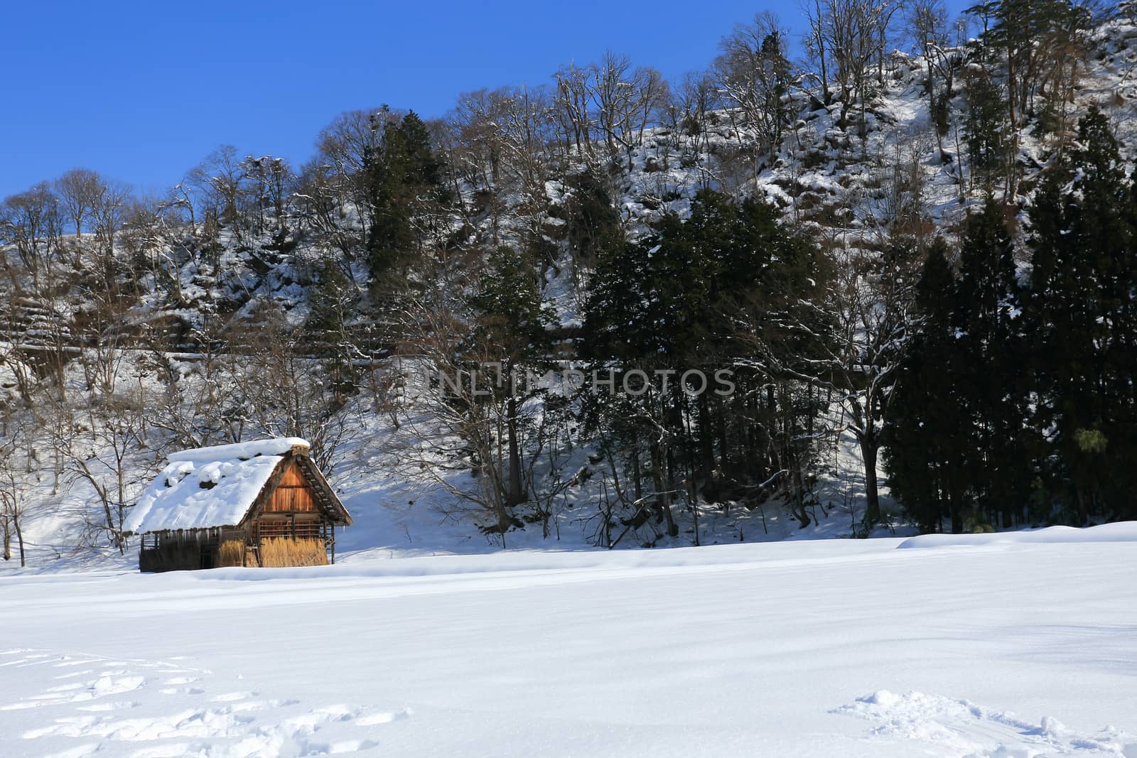 Cottage at Gassho-zukuri Village/Shirakawago