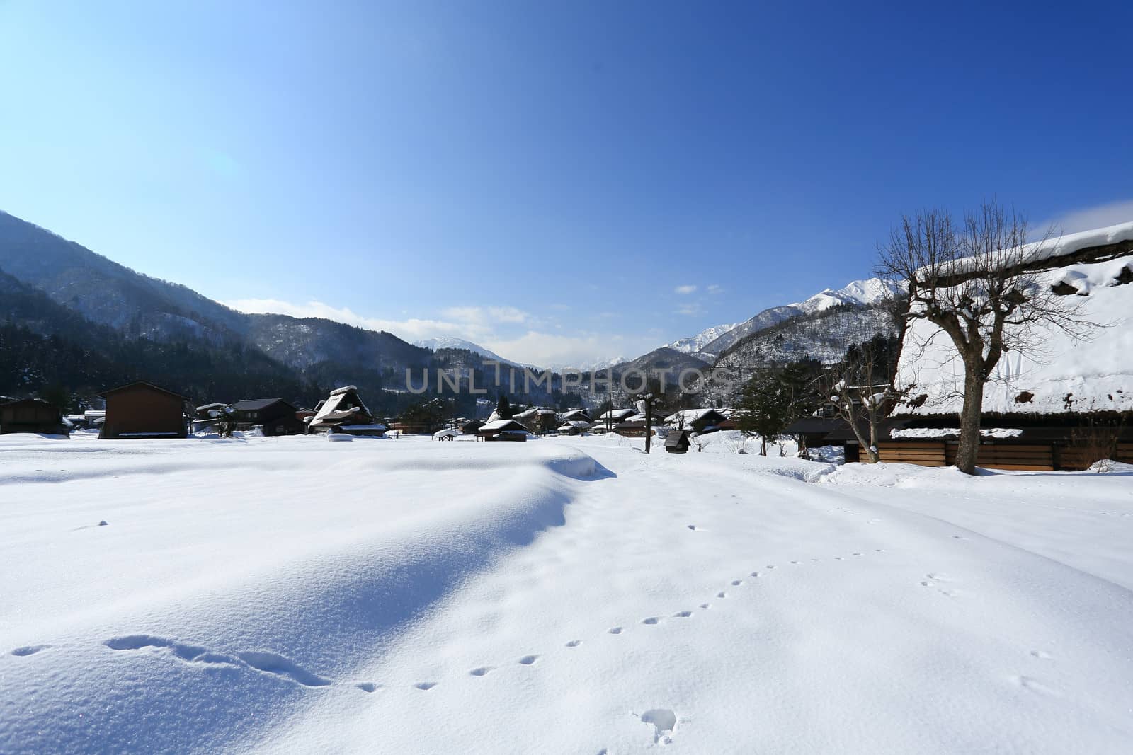 World Heritage, Historic Village of Shirakawago, Gifu, Japan