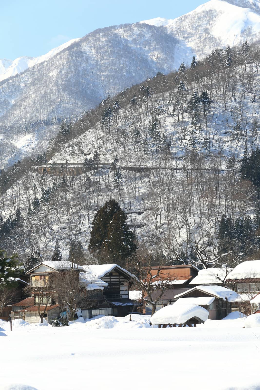 Shirakawa go village hut by rufous